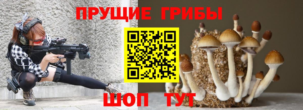 Псилоцибиновые грибы Cubensis Жигулёвск